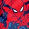 Spiderman, variant on Character Boys 3-Piece Robe and Pajama Set