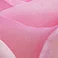 Light Pink, variant on Member's Mark Fair Trade Roses, 75 stems, Choose color variety