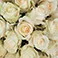 White, variant on Member's Mark Roses, choose color variety and stem count