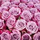 Lavender, variant on Member's Mark Rose Vase Arrangement, 100 stems, choose color